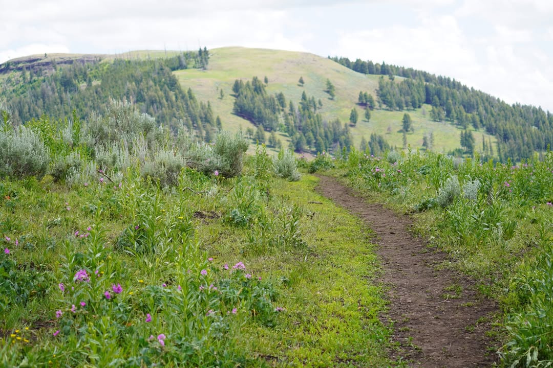 Yellowstone National Park, WY