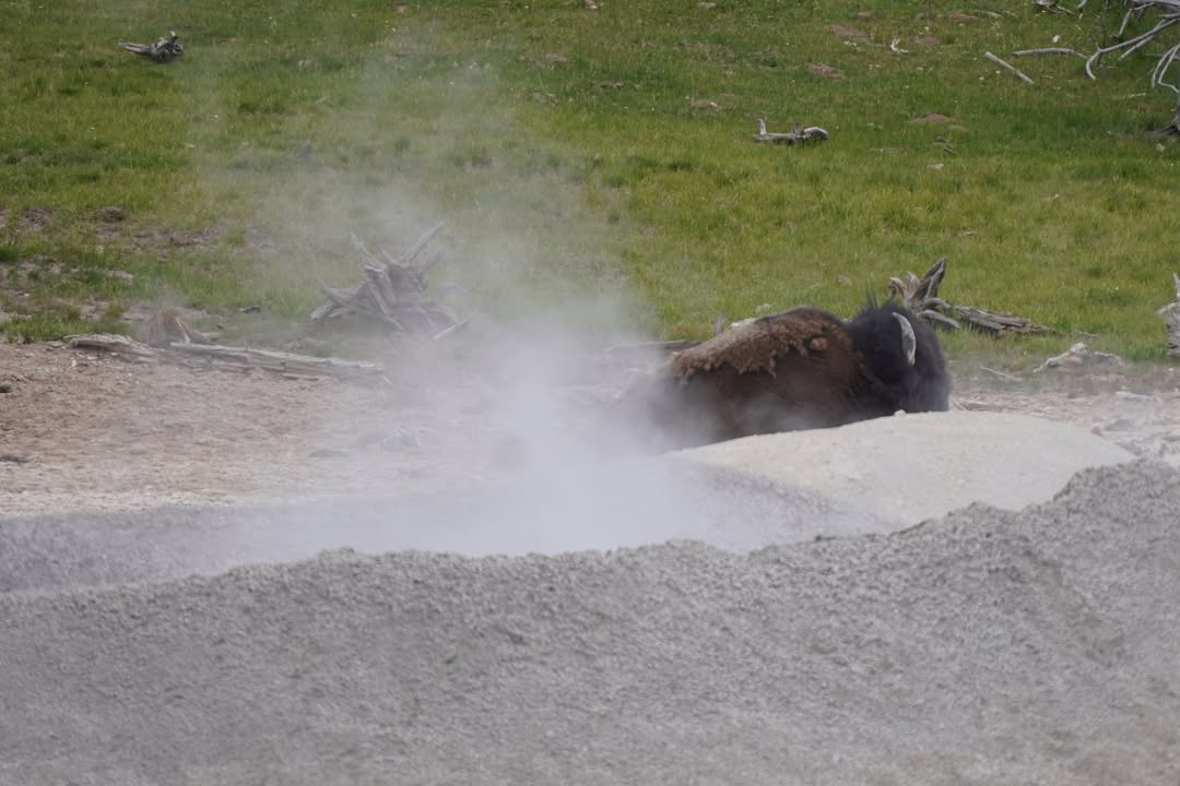 Across the Road Mud Volcano Area