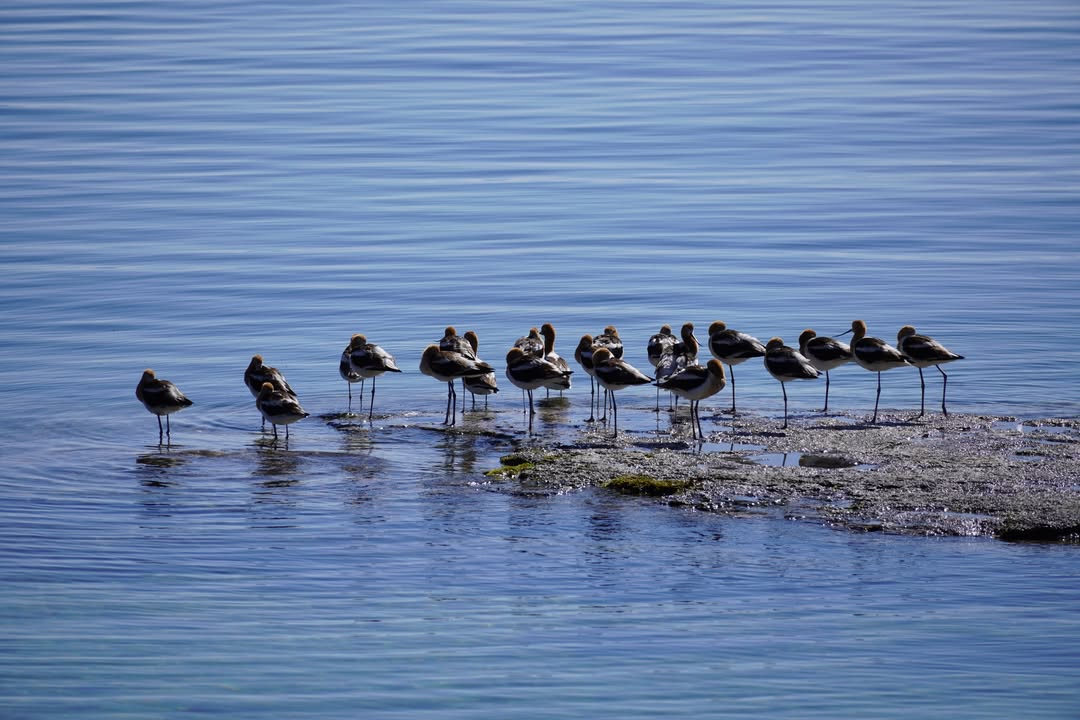 Yellowstone National Park, WY