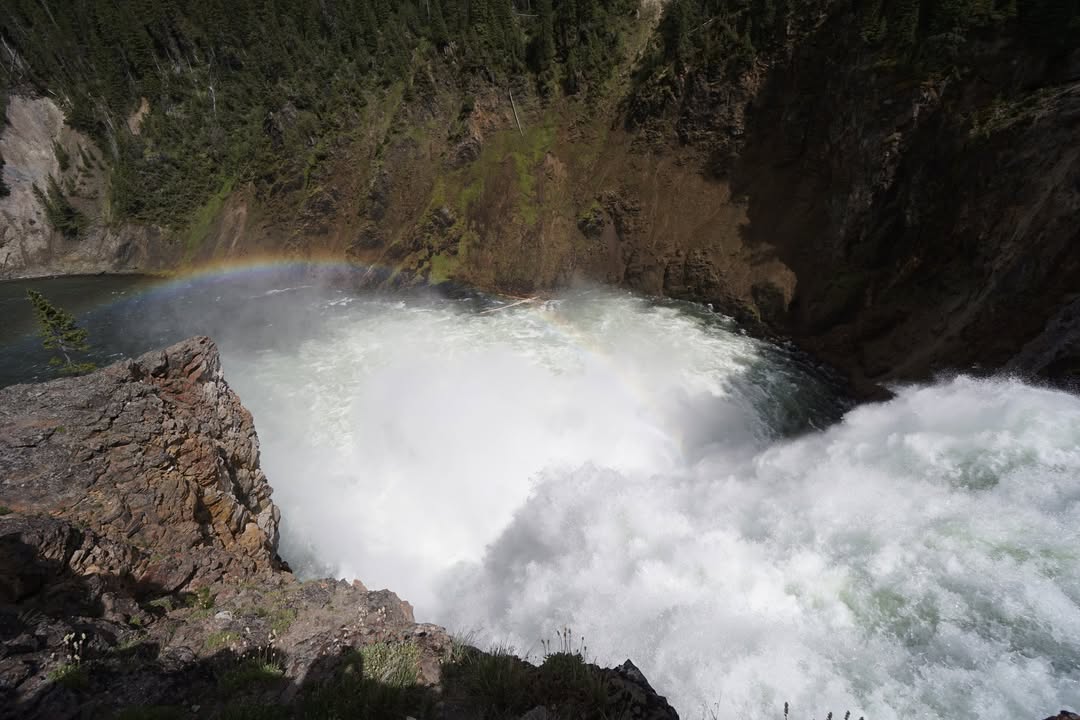 Brink of the Lower Falls on Yellowstone River