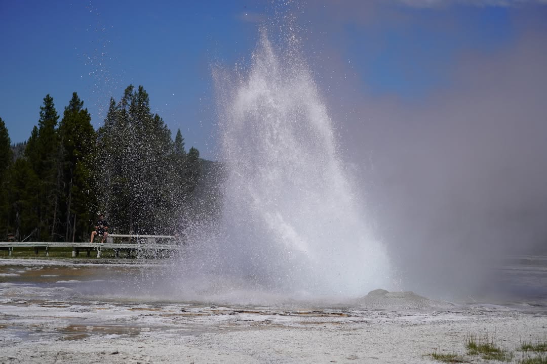 Daisy Geyser