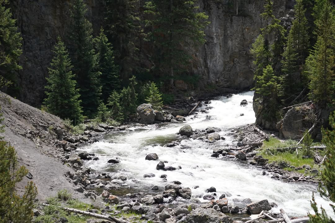 Firehole River