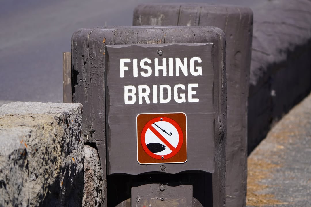 Fishing Bridge in Yellowstone