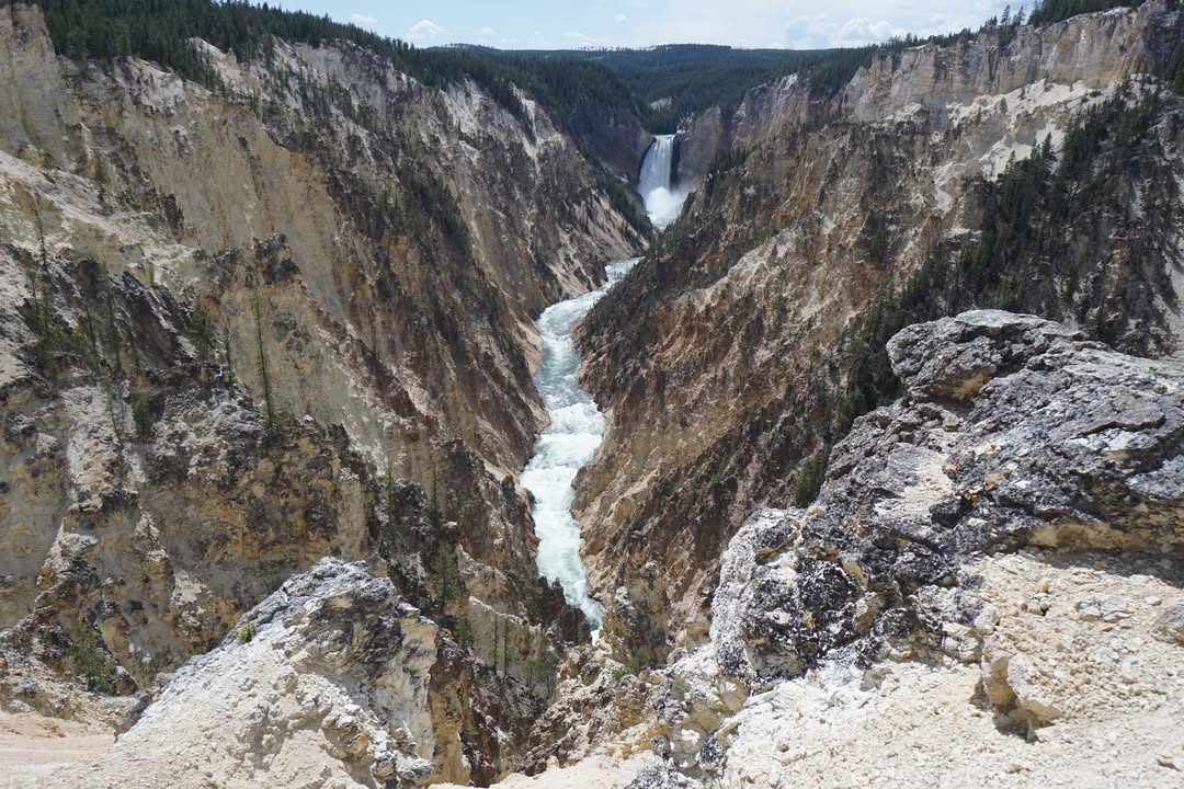 Grand Canyon of the Yellowstone with the Lower Falls