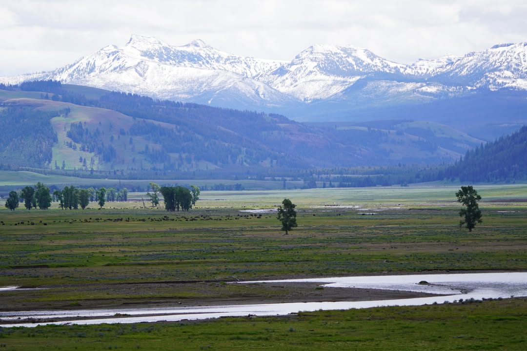 Lamar Valley Trail