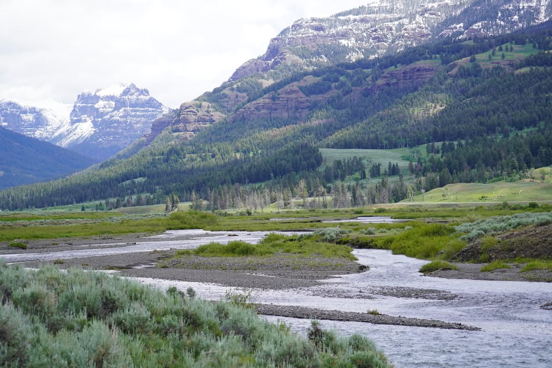 Lamar Valley Trail