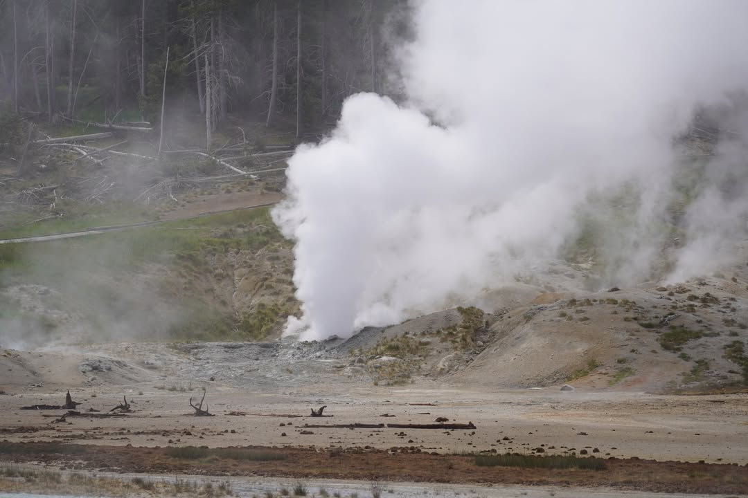 Ledge Geyser near Porcelain Basin Trail