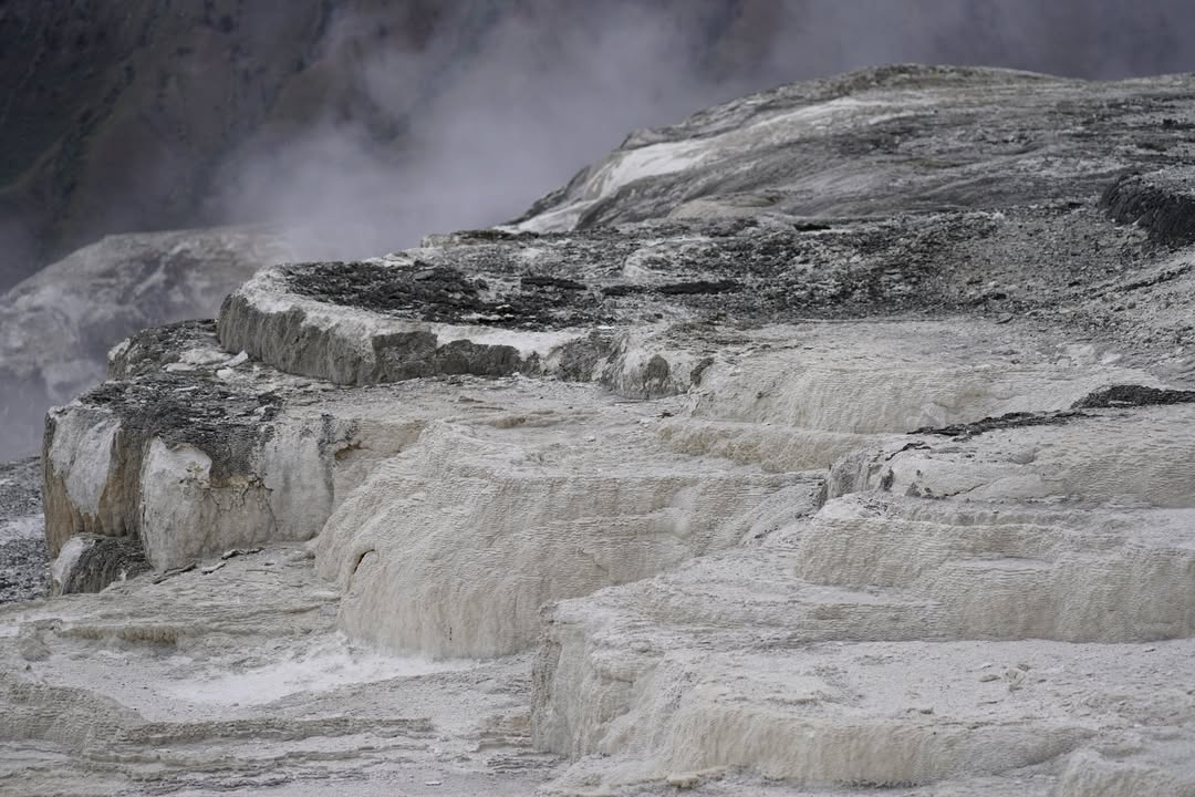 Mammoth Hot Springs