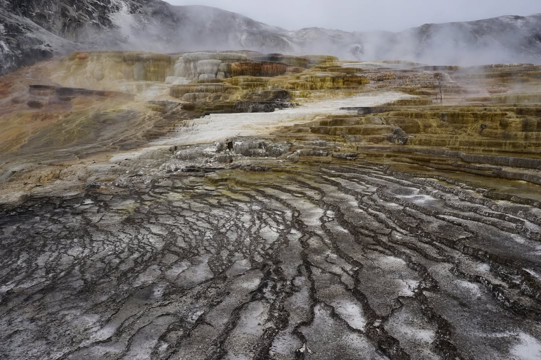 Mammoth Hot Springs