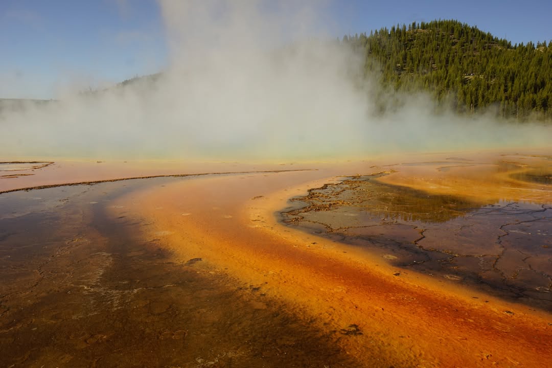 Midway Geyser Basin - Grand Prismatic steaming