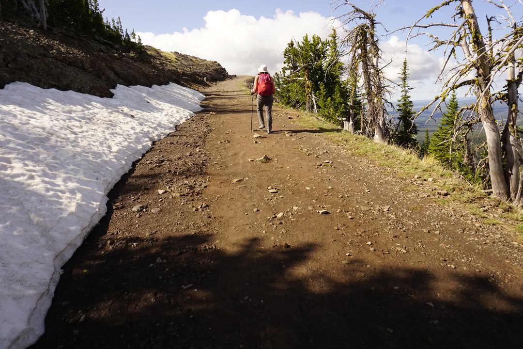 Mount Washburn Trail