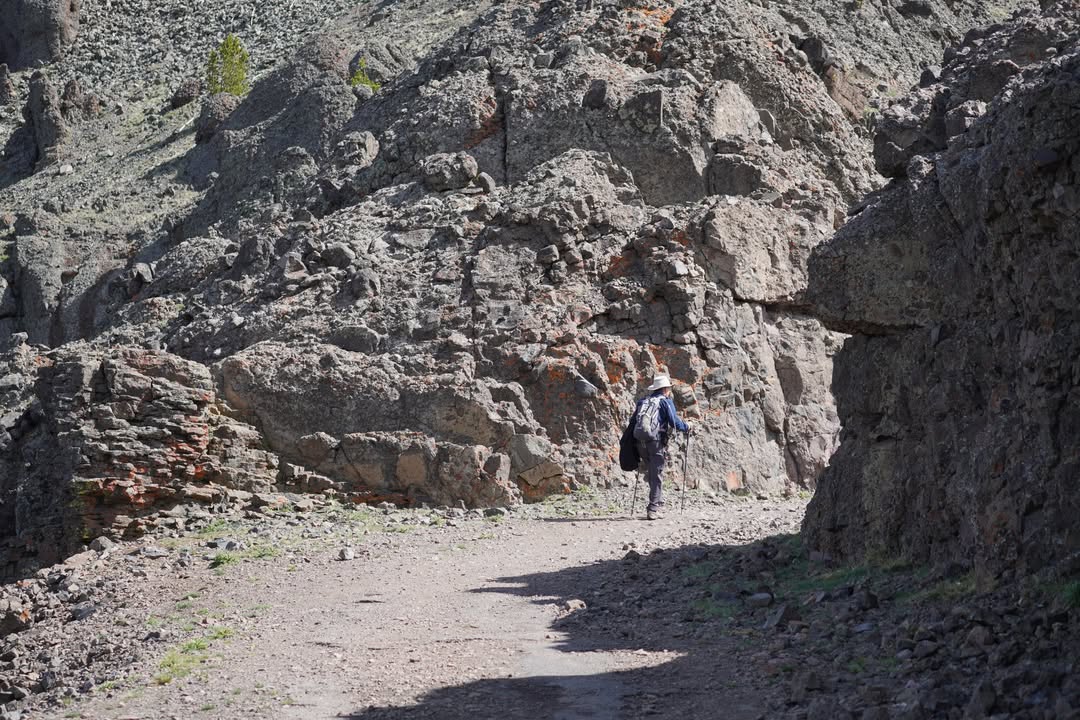 Mount Washburn Trail