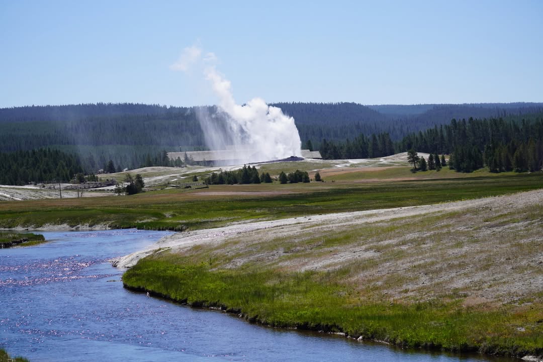 Old Faithful erupting from Geyser Hill Trail