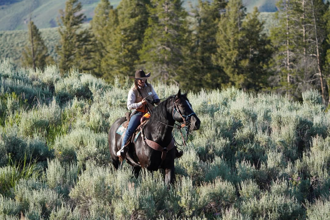 Rider on Horseback in Lamar Valley