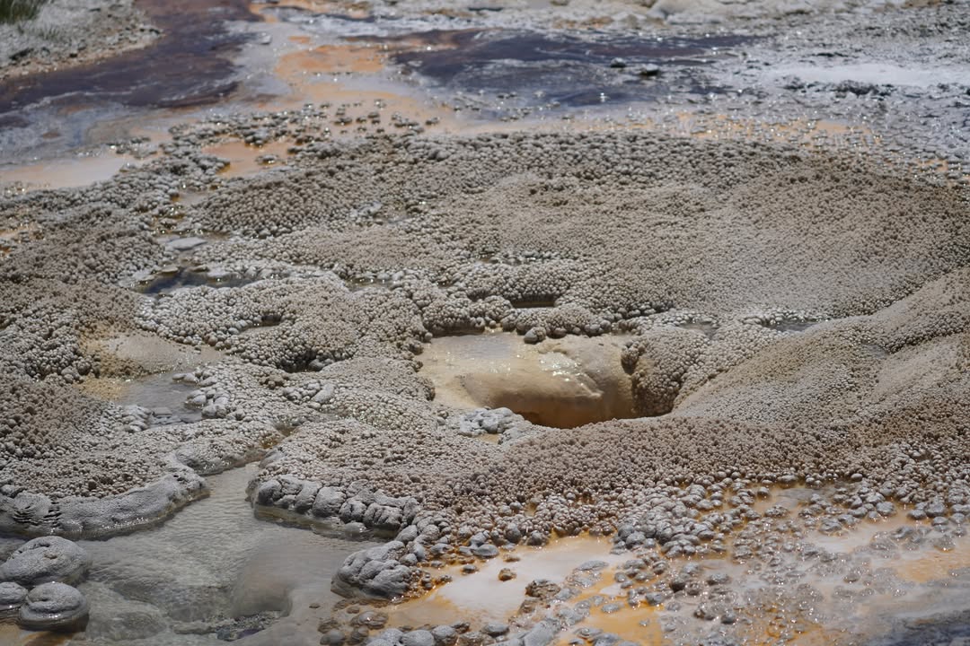 Upper Geyser Basin