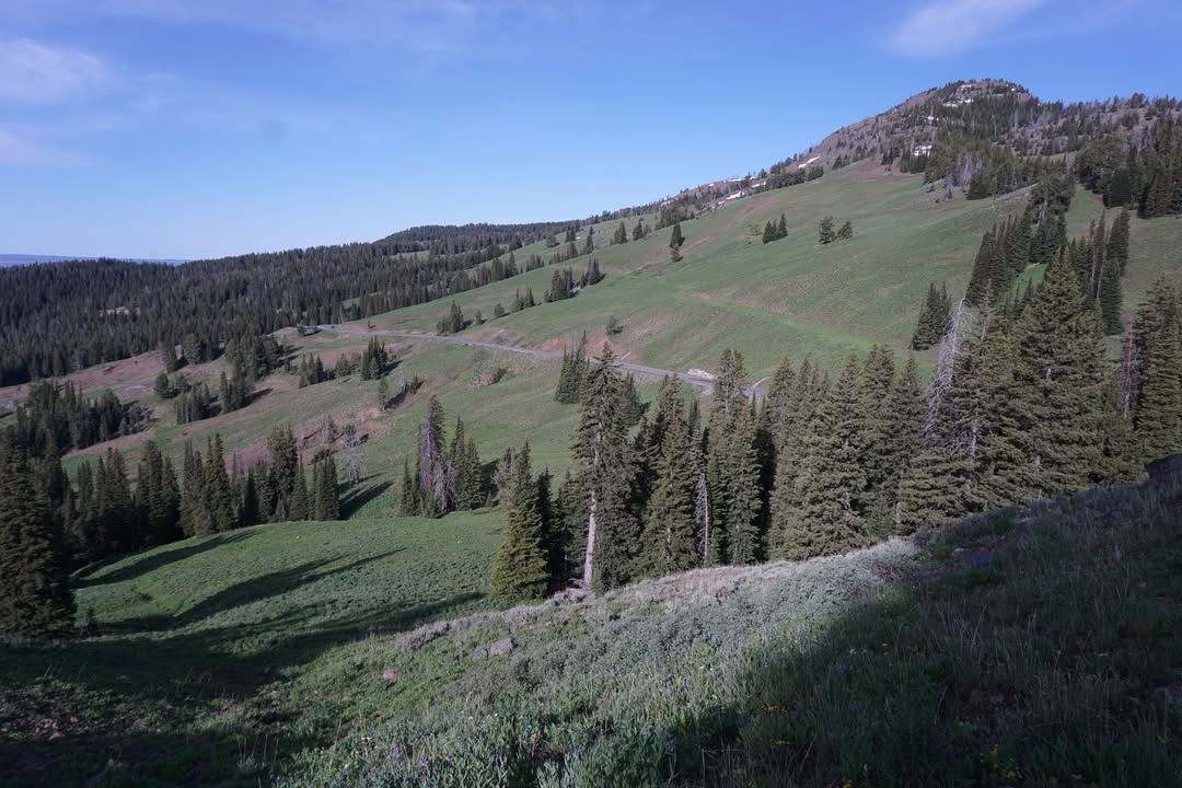 View from Mount Washburn