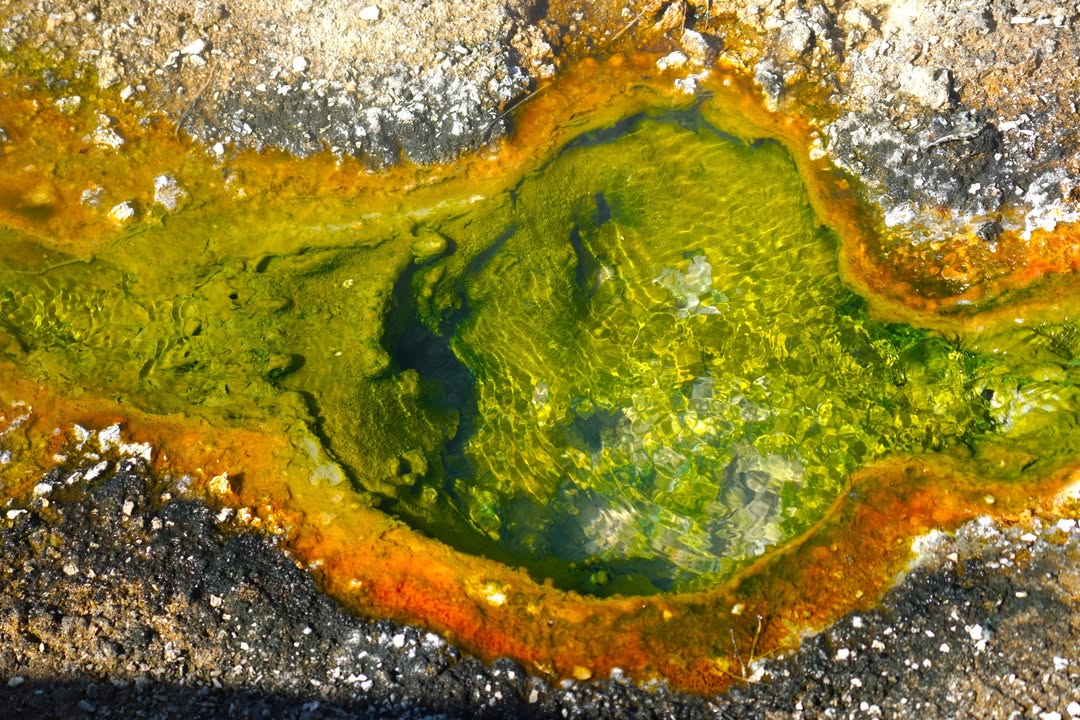 West Thumb Geyser Basin
