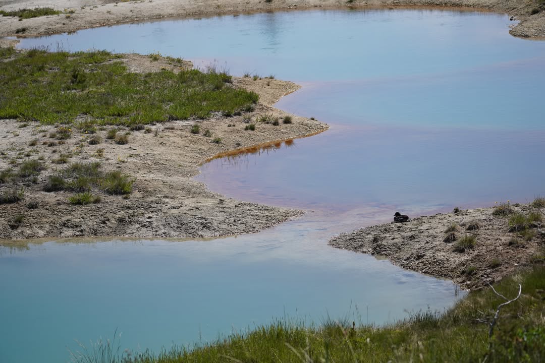 West Thumb Geyser Basin