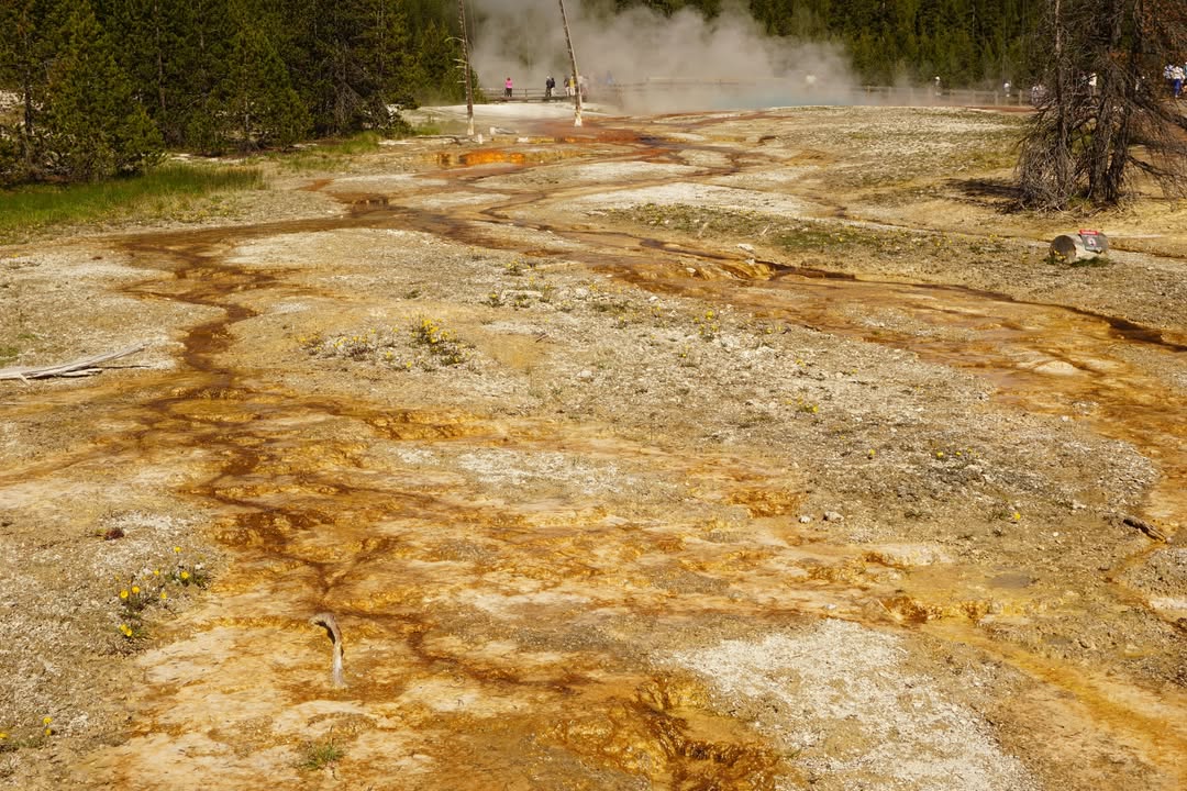West Thumb Geyser Basin