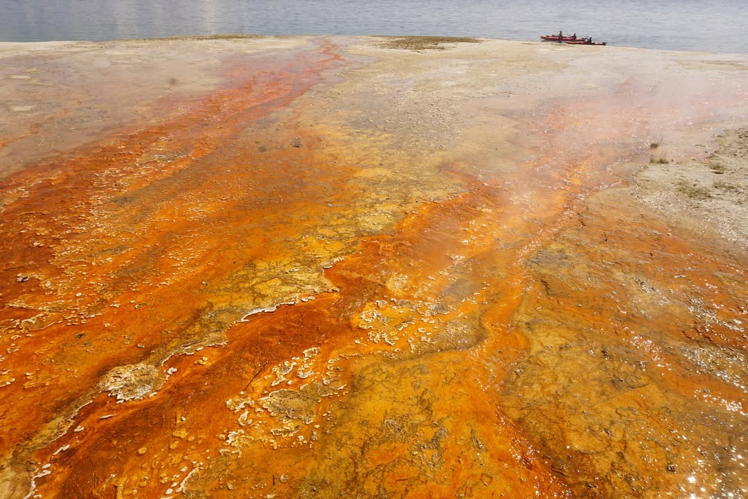 West Thumb Geyser Basin